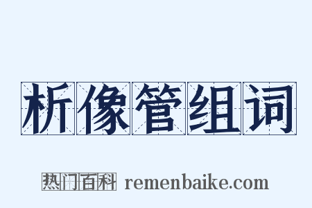 析像管组词是什么意思的图片